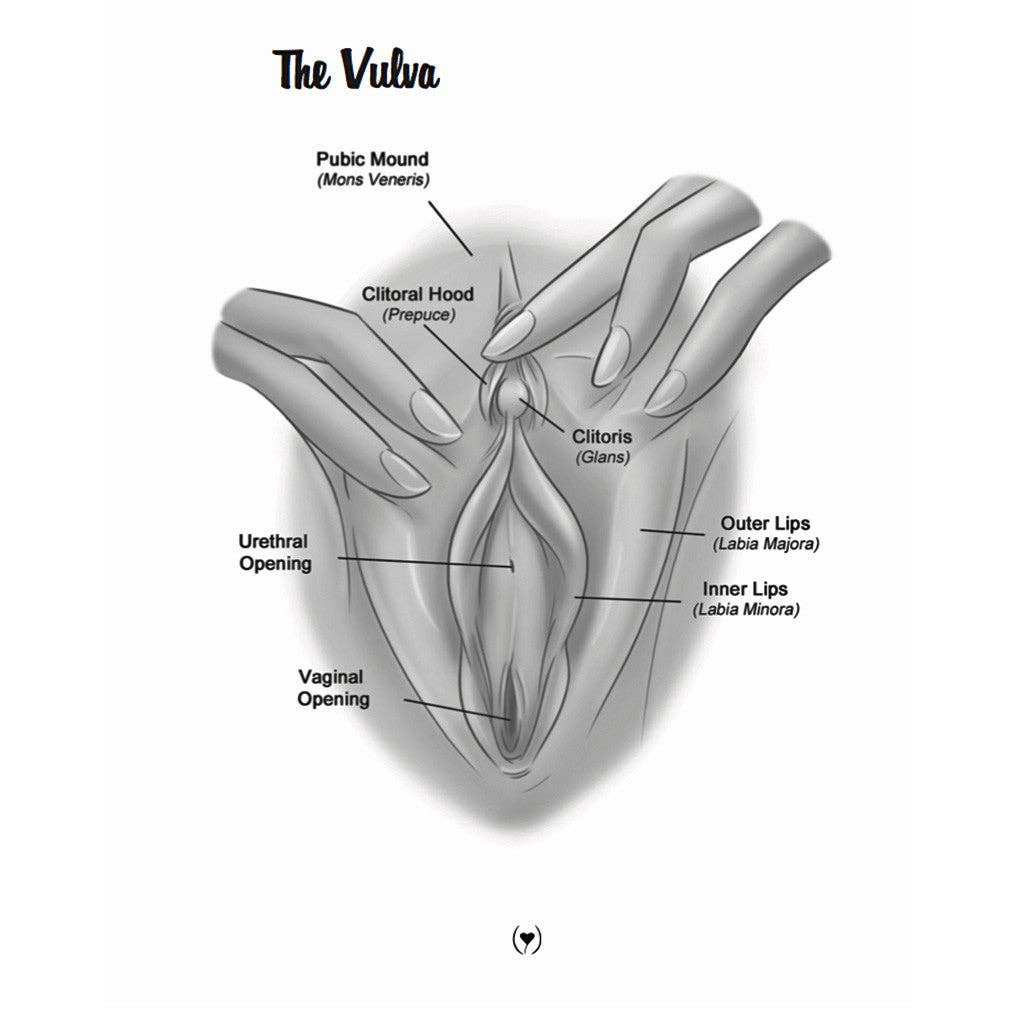 The Mystery of the Undercover Clitoris—Orgasmic Fingertip Touching Every Woman Craves